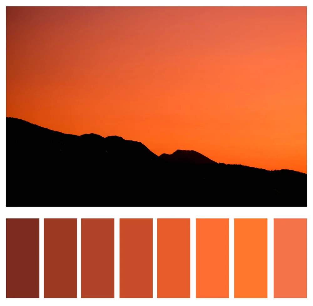 Monochrome orange