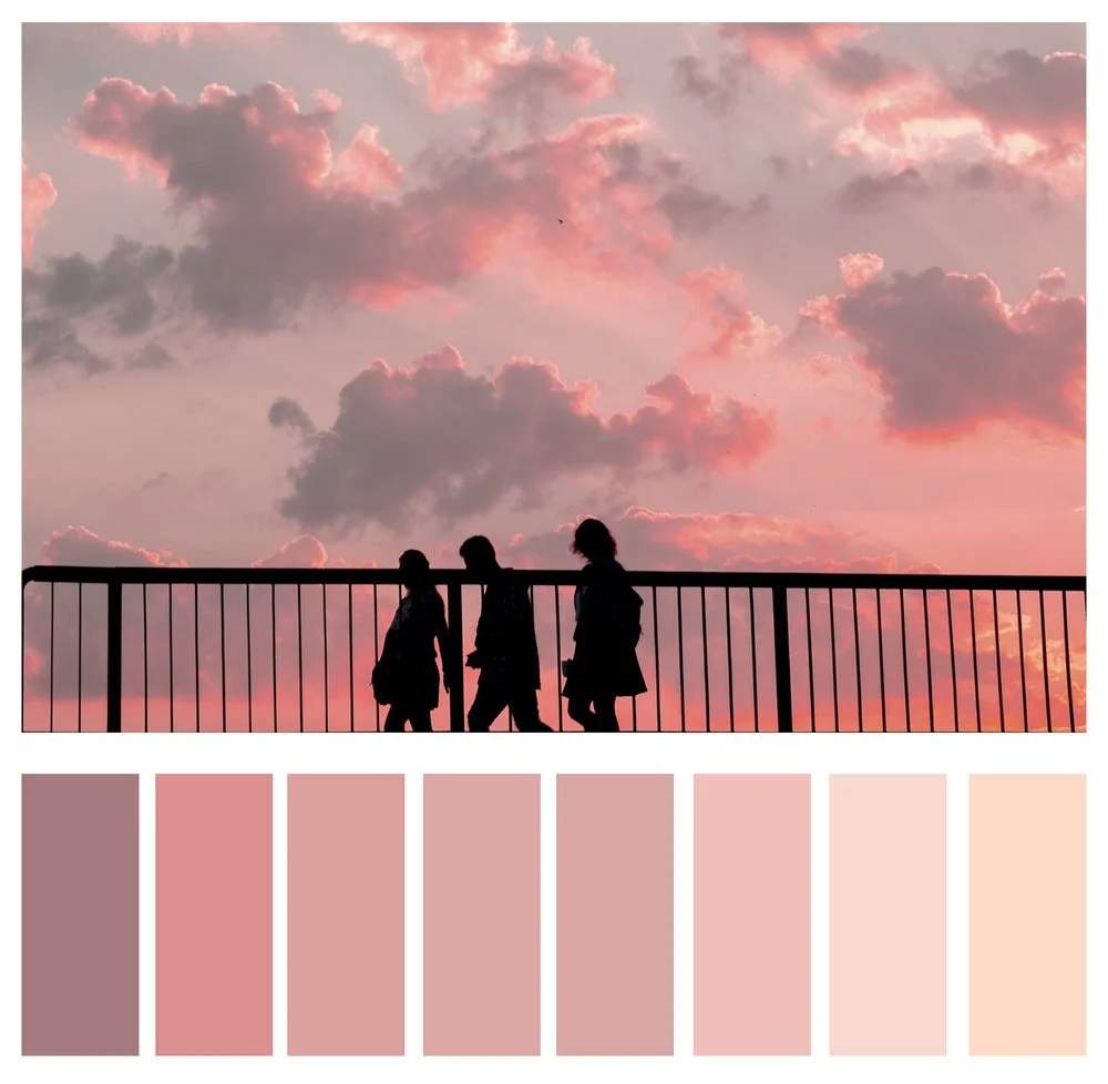 Monochrome pink