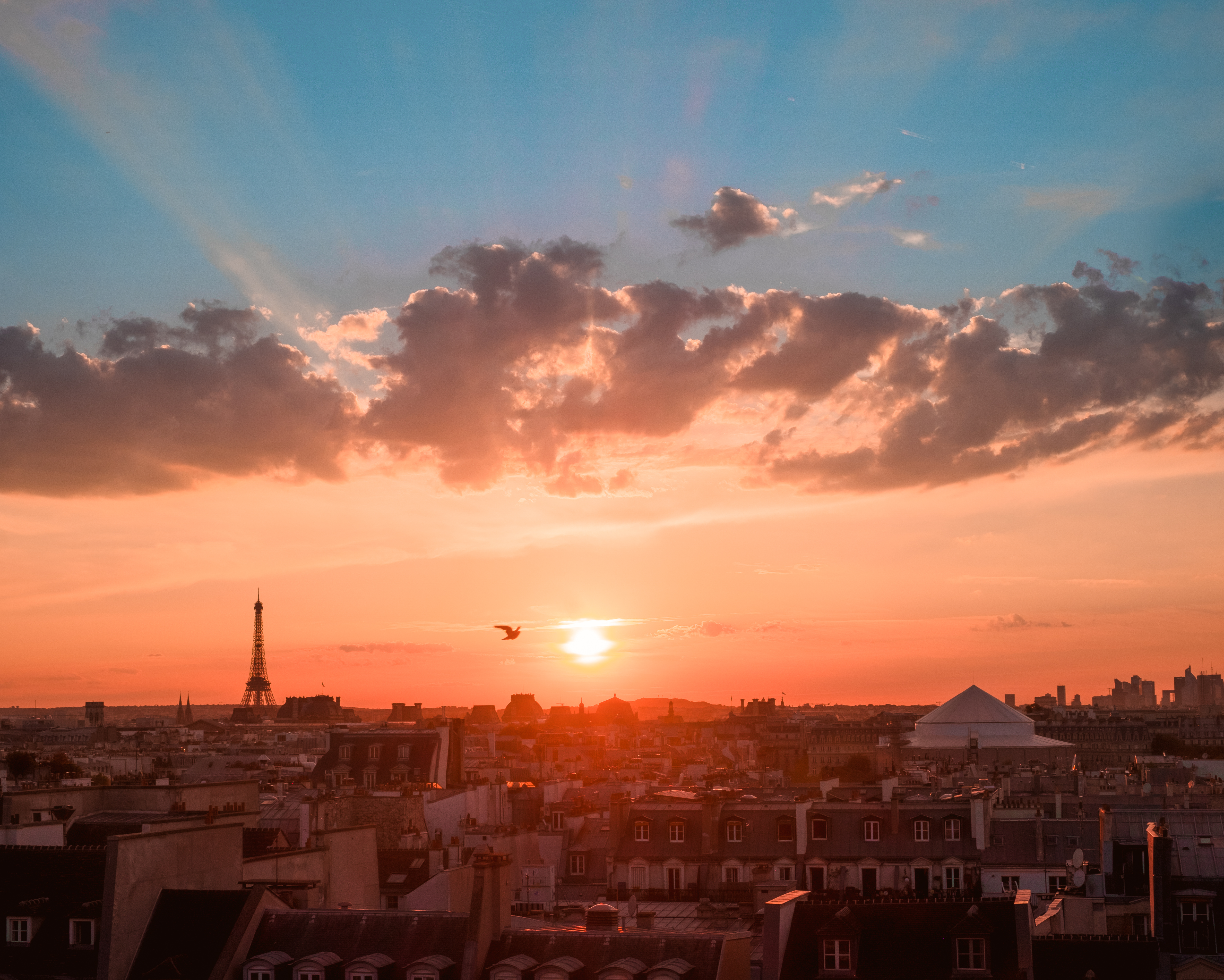 Compositional guidelines for photographers